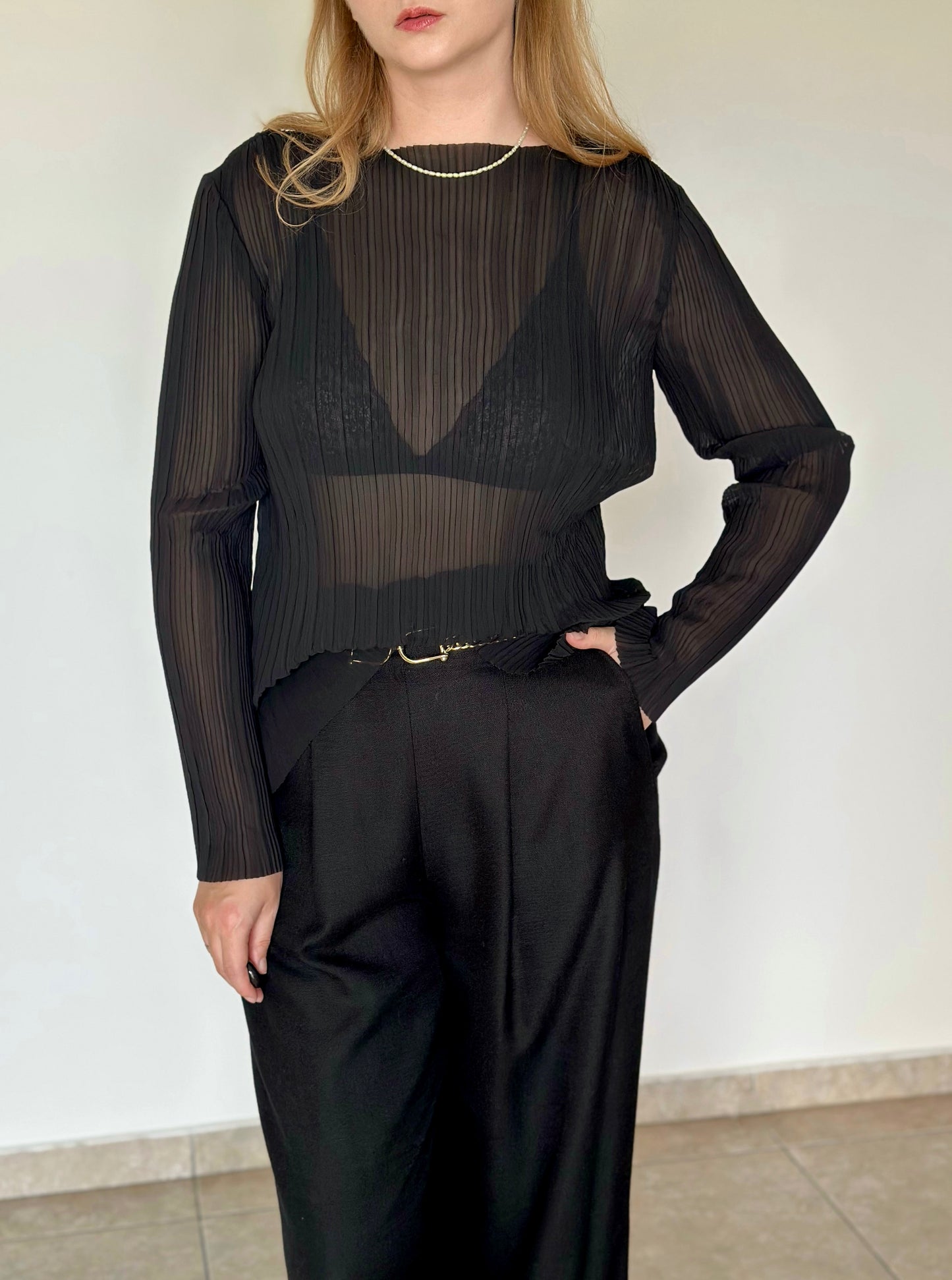Amazing semi-sheer pleated blouse
