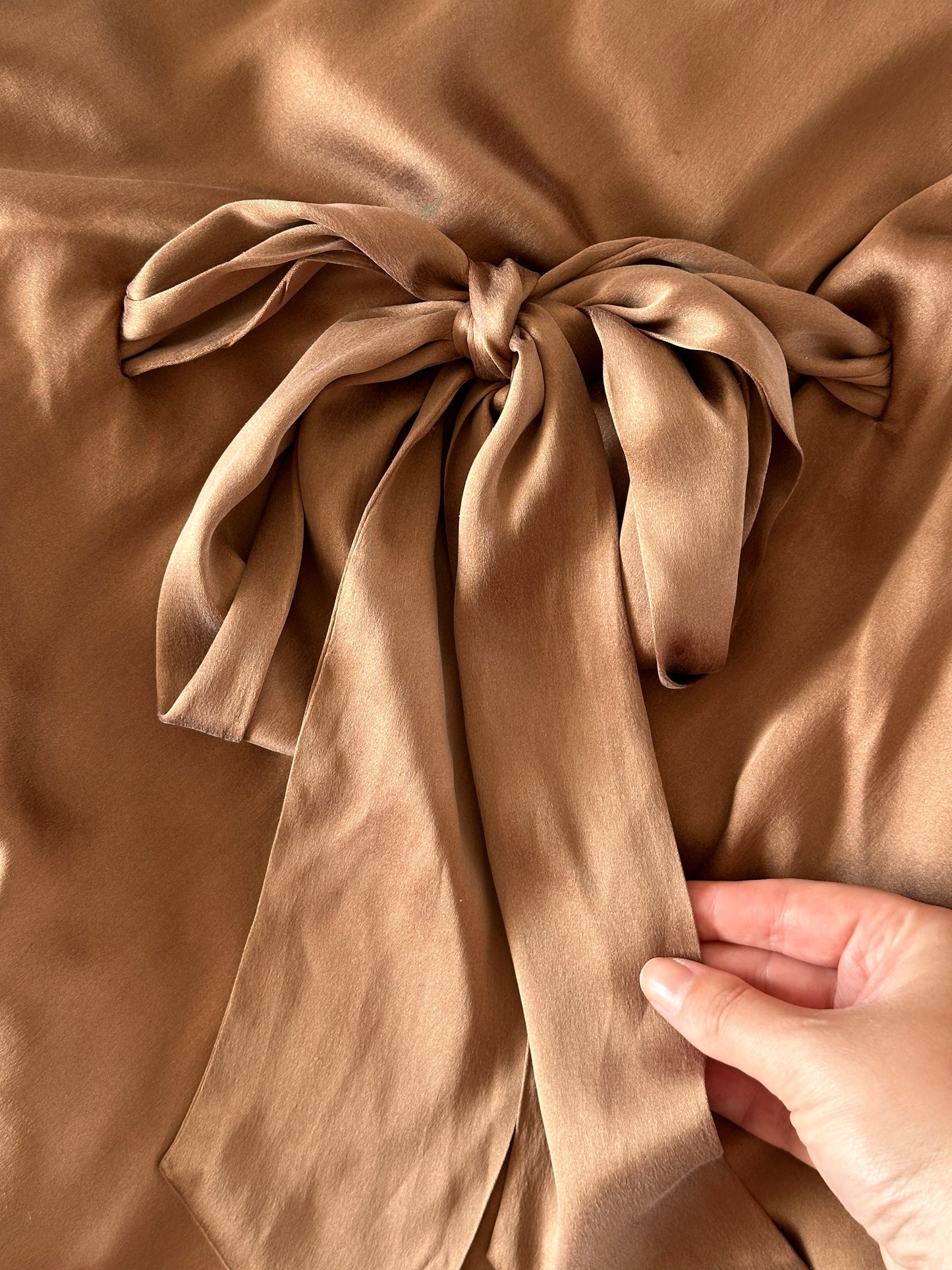 Incredible 100% silk top