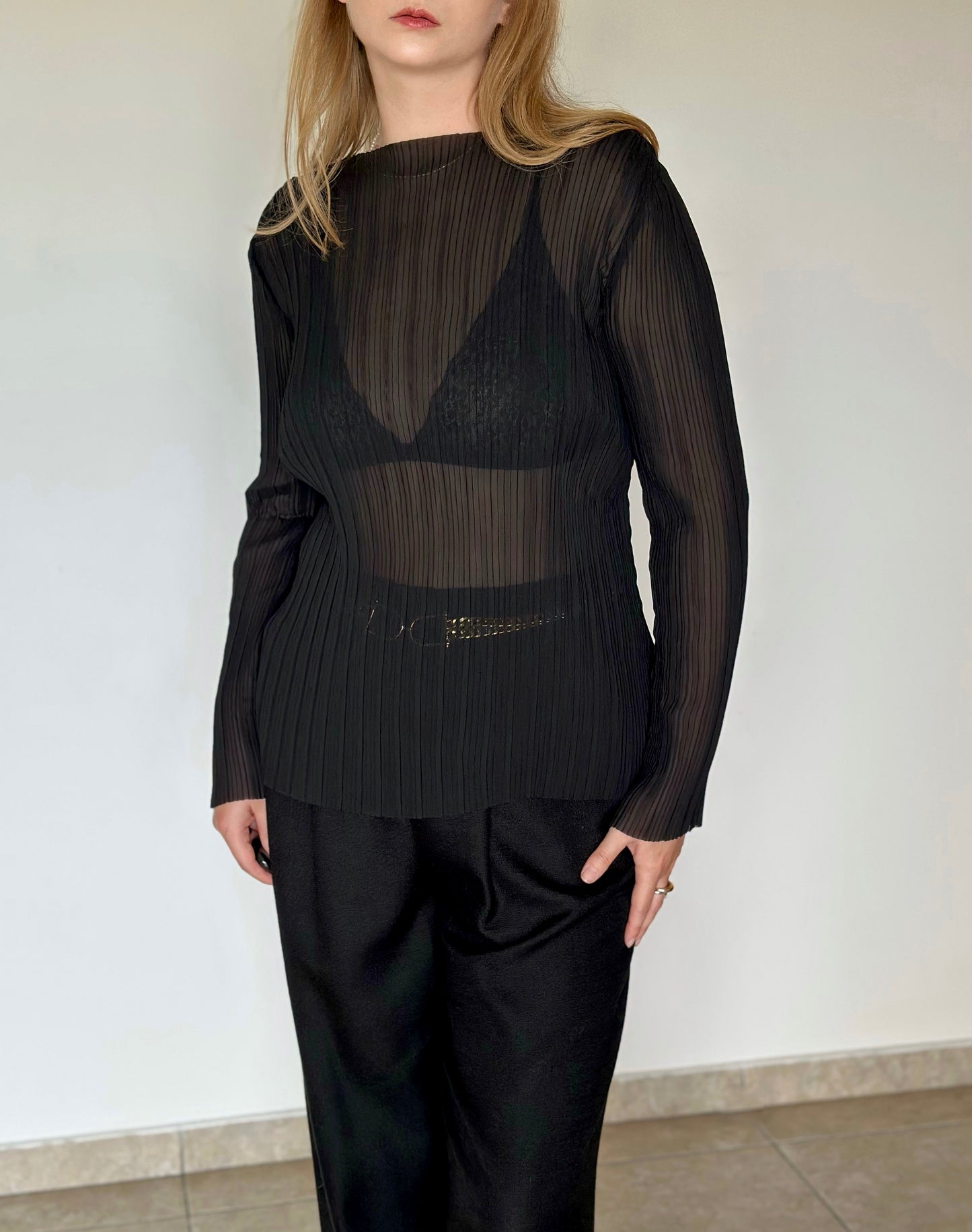 Amazing semi-sheer pleated blouse