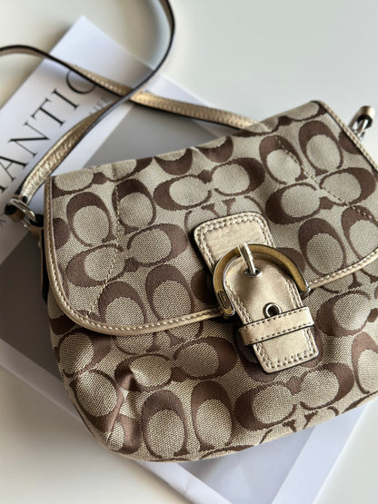 Lovely Coach crossbody bag in signature jacquard canvas