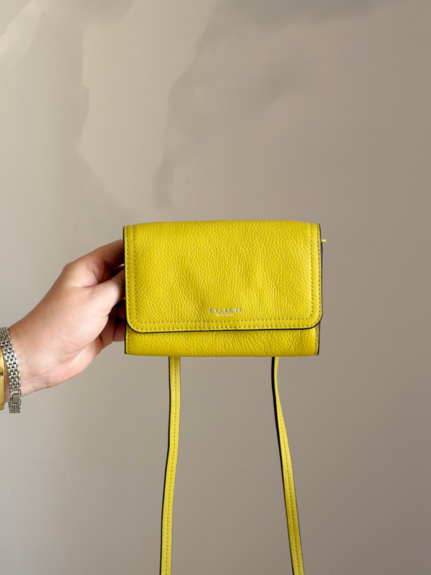 Coach crossbody leather wallet/mini bag