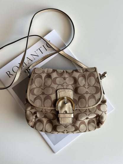 Lovely Coach crossbody bag in signature jacquard canvas